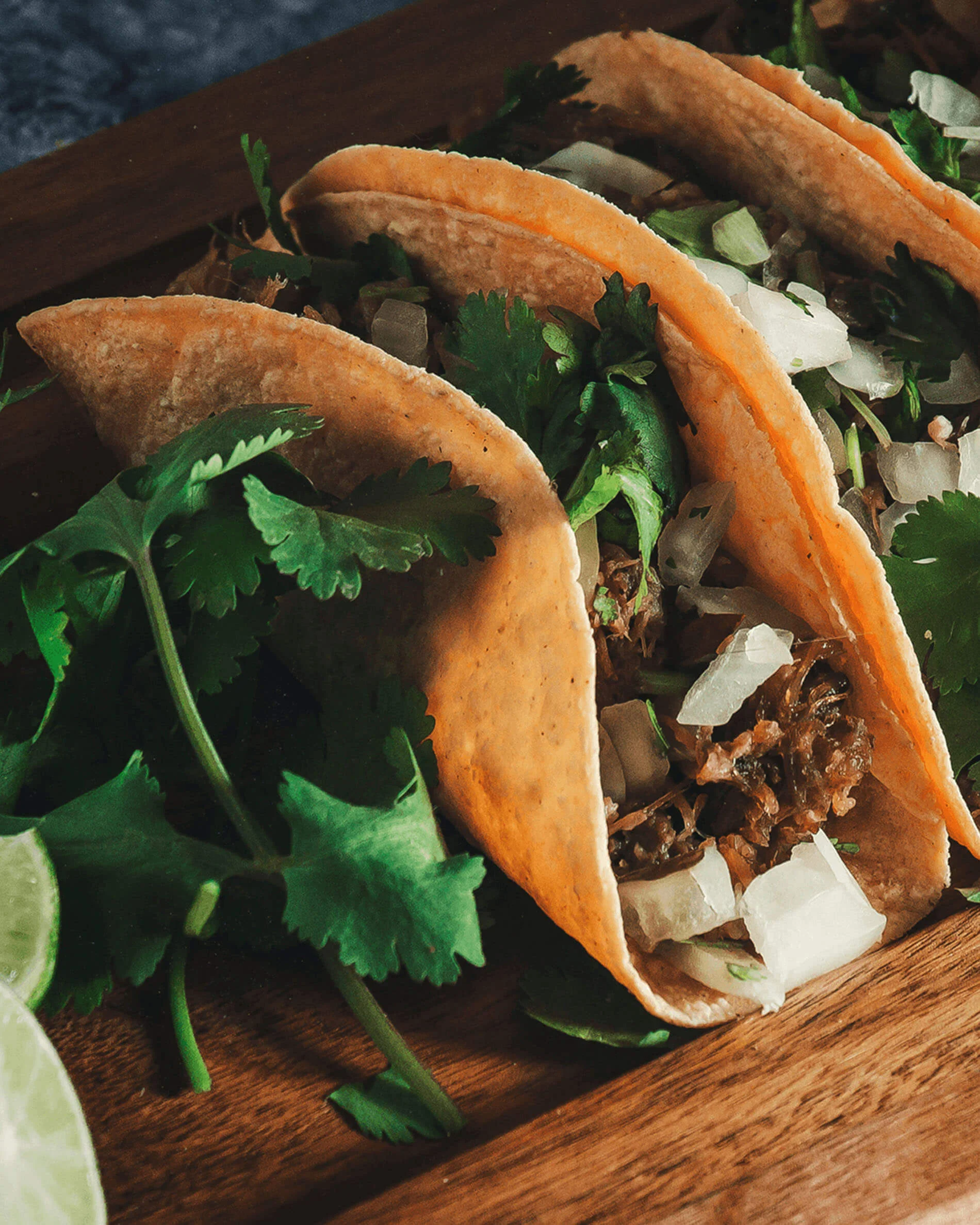 Support à tacos en inox - Image 3